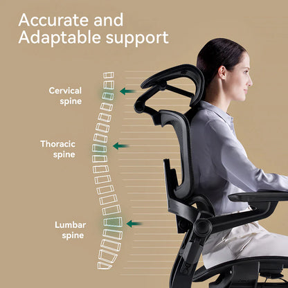 Ergonomic Office Chair