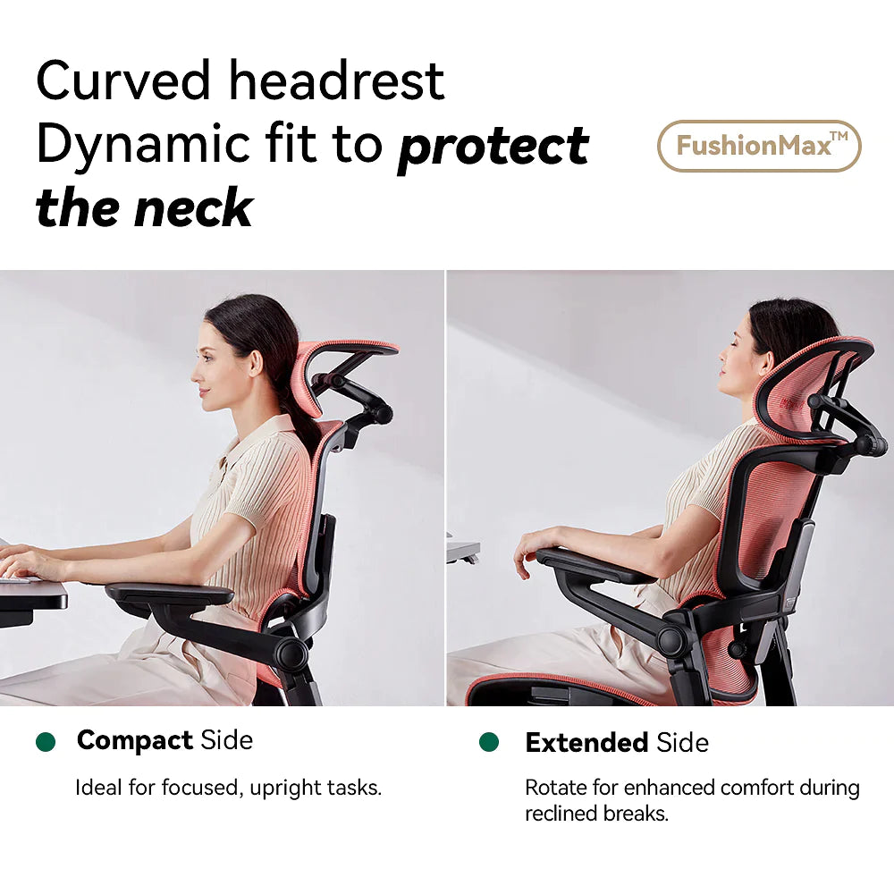 Ergonomic Office Chair